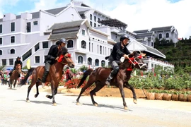 Lao Cai : Ouverture de la course hippique «Sabots de chevaux dans les nuages»