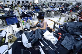 Signes encourageants pour les relations économiques Vietnam-République tchèque