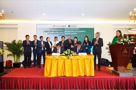 Promotion des exportations de granulés de bois vers le Japon