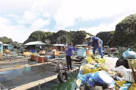 Baie de Ha Long: fin du plastique à usage unique 
