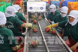 Tien Giang : le chiffre d'affaires à l'exportation atteint 2,7 milliards de dollars