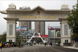 Les exportations via la porte frontalière de Lao Cai en hausse au premier trimestre 2019