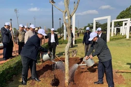 Lancement de la fête de plantation d’arbres dans différentes localités