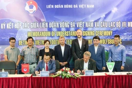 Le Vietnam et l'Allemagne coopèrent pour promouvoir le développement du football