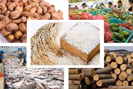 La liste de dix produits agricoles clés du Vietnam publiée