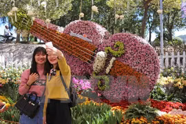 Rendez-vous au Festival des fleurs de Da Lat en décembre 