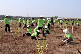 Organisation du programme « I Green We Green Vietnam » à Nam Dinh