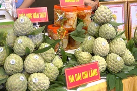 Lang Son : Bientôt la 3e Journée des pommes cannelles Chi Lang