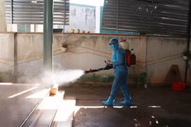 COVID-19 : Le ministère des AE donne des recommandations aux citoyens vietnamiens