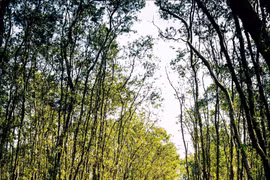 An Giang renforce les investissements dans les infrastructures touristiques