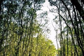 An Giang renforce les investissements dans les infrastructures touristiques
