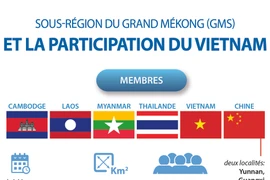 Sous-région du Grand Mékong et la participation du Vietnam