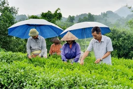 Réduction durable de la pauvreté grâce à l’utilisation efficace de fonds d’assistance
