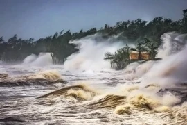 Concours de photos en Chine: le premier Prix attribué au Vietnam 
