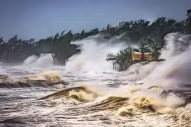 Concours de photos en Chine: le premier Prix attribué au Vietnam 