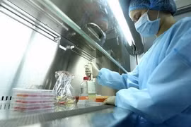 Restructuration des programmes scientifiques et technologiques nationaux d'ici 2030