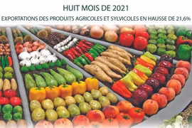 Exportations des produits agricoles et sylvicoles en huit mois 2021