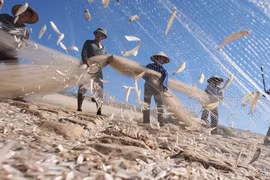 Renforcer les arguments scientifiques pour le développement durable de l'économie maritime