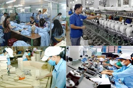 Développer les ressources humaines de haute qualité dans la région du Nam Bô Oriental