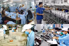 Développer les ressources humaines de haute qualité dans la région du Nam Bô Oriental