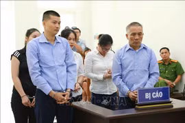 Jugement de membres d'une organisation de « maternité de substitution »