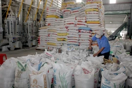 Le Vietnam exporte 2,83 millions de tonnes de riz en cinq mois