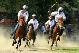 Retour en fanfare des projets d’hippodromes au Vietnam