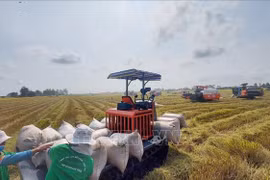 Le Vietnam exporte 1,7 million de tonnes de riz au premier trimestre