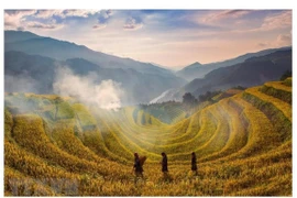 CNBC fait l'éloge de la beauté de Mu Cang Chai