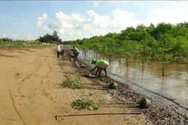 Tra Vinh: investissement dans le développement des régions d'ethnies minoritaires