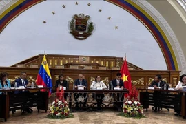 Promouvoir la coopération dans les affaires ethniques entre le Vietnam et le Venezuela