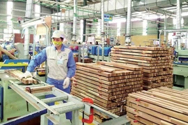 Gia Lai élabore une stratégie pour stabiliser l'industrie de la transformation du bois