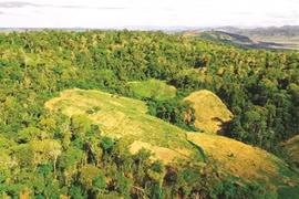 Protection des ressources forestières