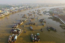Créer un élan pour le développement économique du delta du Mékong