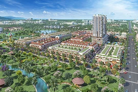 Ba Ria-Vung Tau attire de grand projets d'investissement étranger