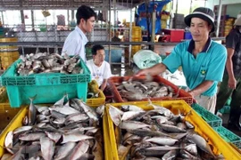 Kien Giang promeut l'exploitation de nouveaux marchés potentiels
