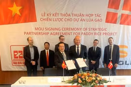 L’usine de transformation de riz la plus moderne en Asie du Sud-Est verra le jour au Vietnam