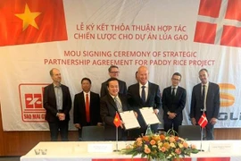 L’usine de transformation de riz la plus moderne en Asie du Sud-Est verra le jour au Vietnam