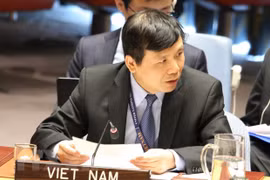 Le Vietnam soutient les efforts pour la paix du Conseil de sécurité de l’ONU