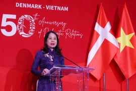 Célébration des 50 ans des relations diplomatiques Vietnam-Danemark