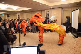 ​Le Nouvel An lunaire célébré à l’étranger