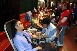 La Fête "Dimanche rouge" 2020 dans les provinces de Quang Binh et de Nam Dinh