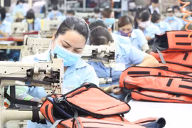 EVFTA : profiter au maximum des intérêts