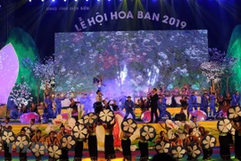 La Fête de bauhinie 2019 à Dien Bien