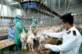 Ho Chi Minh-Ville investir dans des abattoirs