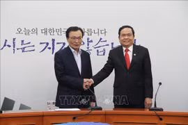 Une délégation du Front de la Patrie du Vietnam en visite de travail en R. de Corée