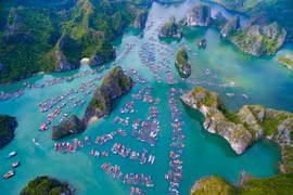 Cat Ba s’oriente vers le tourisme vert et durable