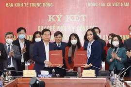 Coopération resserrée entre la Commission économique centrale du Parti et la VNA