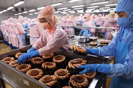 Accord de libre-échange Vietnam-Israël - possibilité d'élargir le marché pour les produits vietnamiens