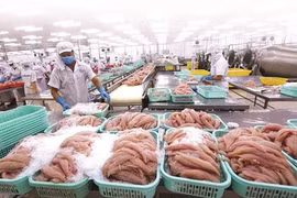 EVFTA: bénéficier au maximum des avantages